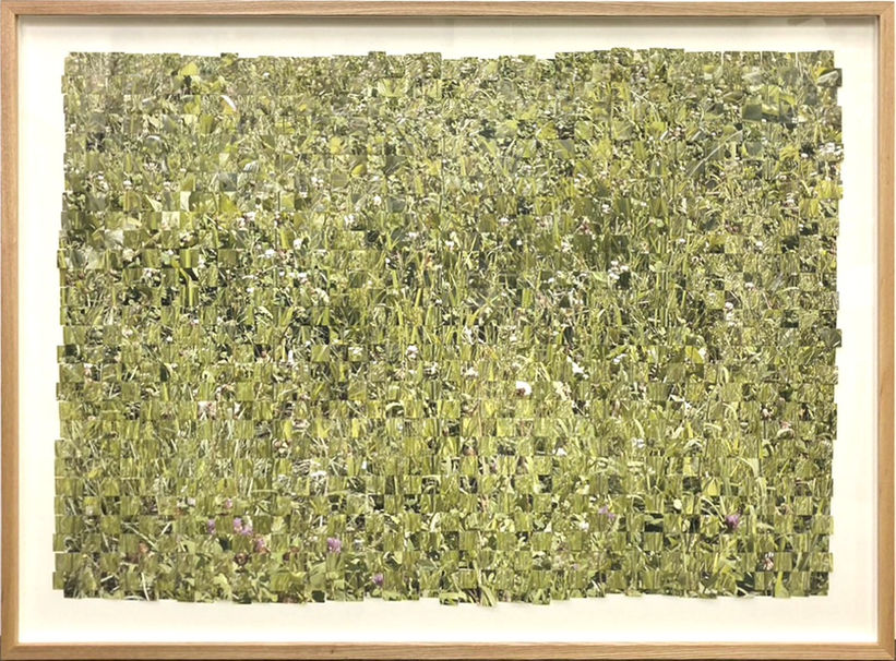 草を編む / Weaving Grass