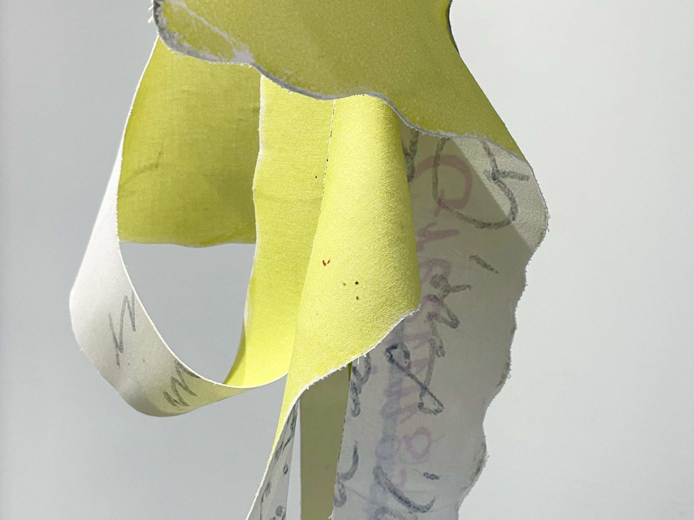 Greetings from San Fernando Valley