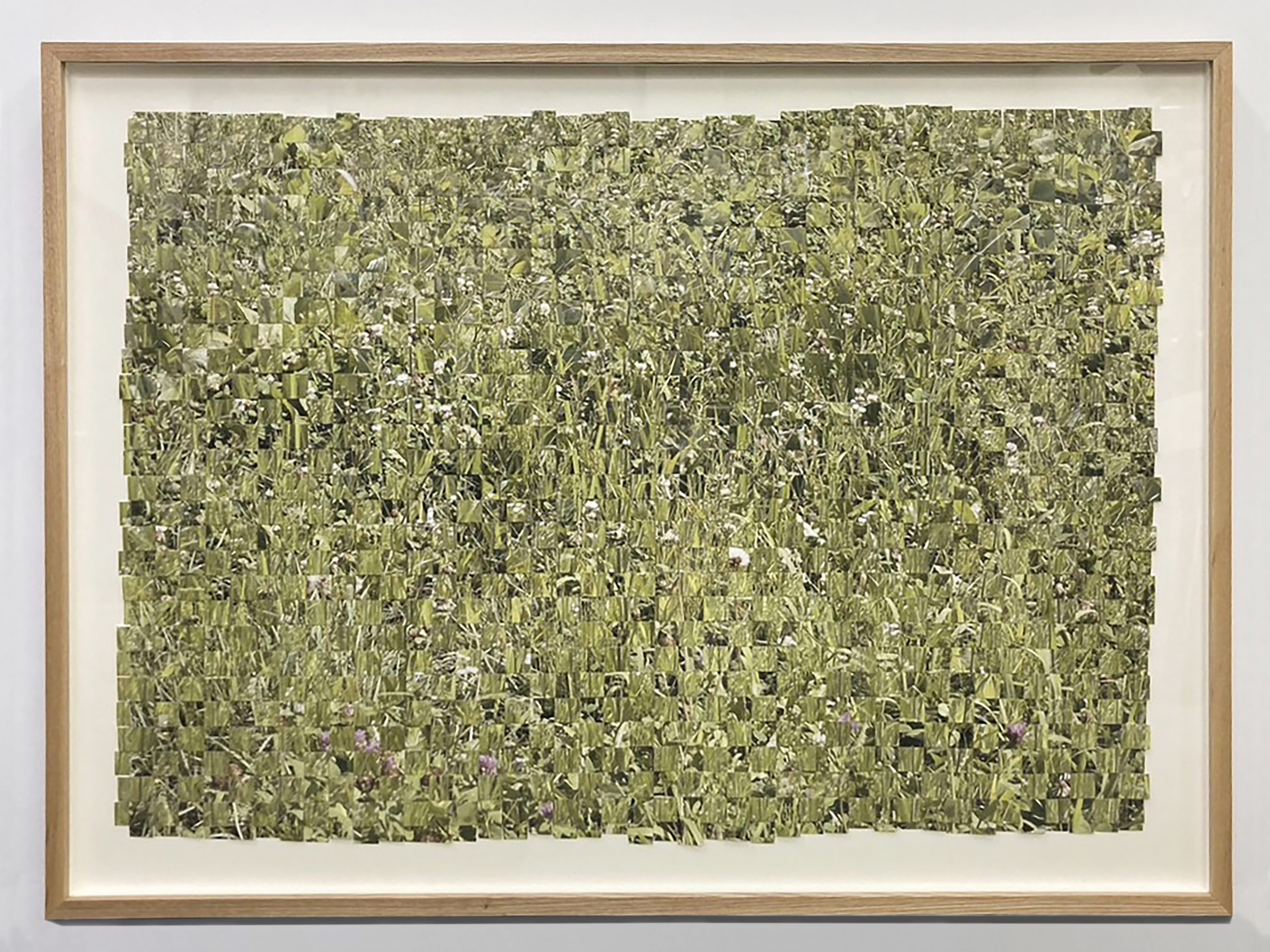 草を編む / Weaving Grass